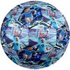 Haaland Danish National Football Team Size 5 Soccer Ball Machinestitched Indooroutdoor Training And Matches Perfect Commemorative Gift For Soccer Love