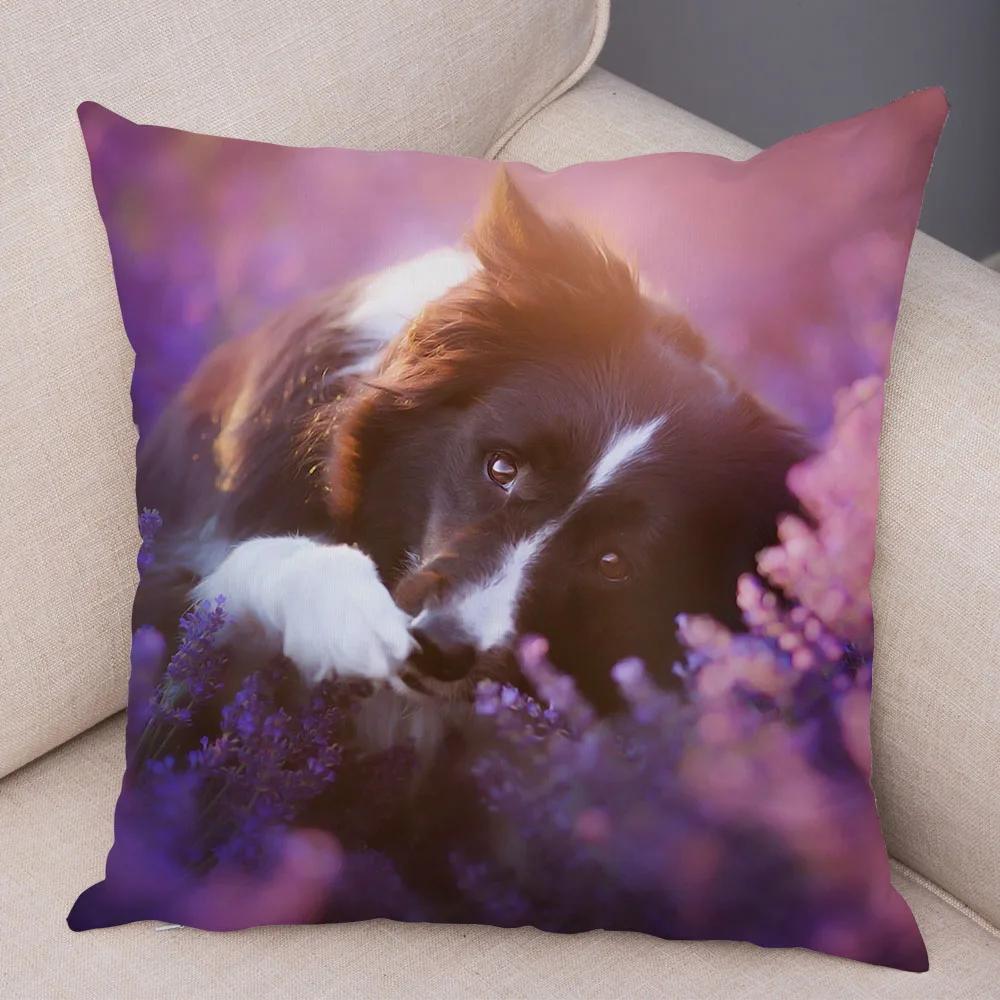 Soft Plush Cute Pet Animal Cushion Cover Scotland Border Collie Pillowcase for Sofa Car Decor Dog Printed Pillow Case