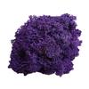 L&B Artificial Plant Preserved Flower Reindeer Moss DIY Craft Garden Home Decor