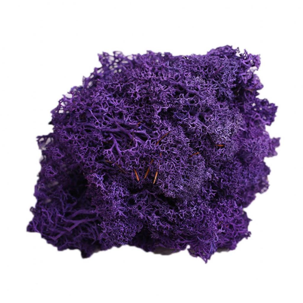 L&B Artificial Plant Preserved Flower Reindeer Moss DIY Craft Garden Home Decor