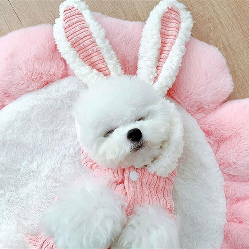 Костюм кролика для косплея, Рождества, Хэллоуина, для питомца, с капюшоном, набор для кошек, собак, пуловер, сохраняющий тепло, комбинезон для питомца, карнавальной вечеринки