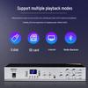 Diyou Ceiling Speaker & Amplifier Public Address System CN plug (adapter included) (CN version)