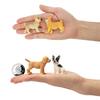 TOYMANY Набор из 12 фигурок собак - Мини-фигурки животных, Модели собак, Реалистичные модели животных, Мини-модели, Популярные животные, Игрушки, Подарки, День Рождения