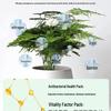 Asparagus Fern Liquid Nutrient Solution for Indoor Plants