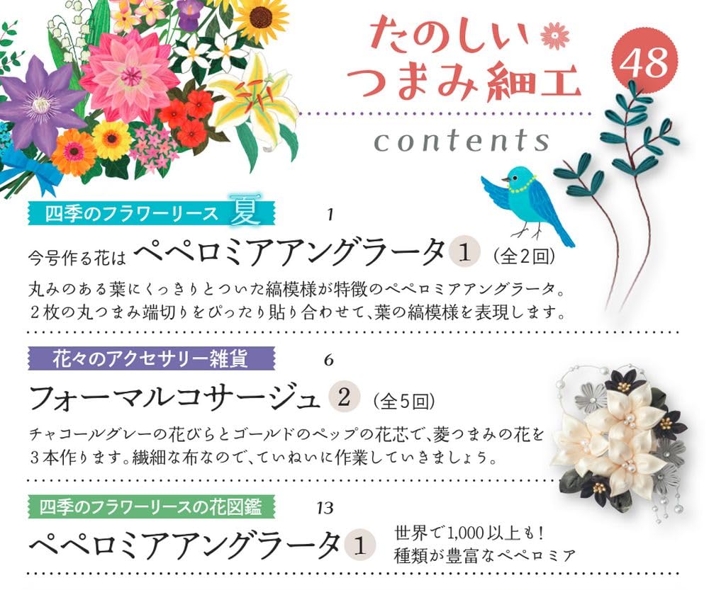 Веселый Цумаму Дзаику 48 Но. [Энциклопедия] (с комплектом)