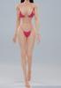 Scale Action Figure VERYCOOL Premium Sexy Seamless Body and Outfit Not Natural Skin [TOYBARJAPAN] 1/6 VCD-02, Painted, Mid-Bust, Beauty,