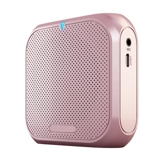 Портативный беспроводной усилитель голоса для учителей, совещаний, экскурсоводов, перезаряжаемая PA-система, динамик, персональный усилитель, мегафон с клипсой для крепления сзади