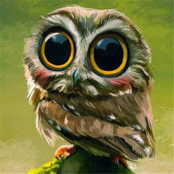 50X50CM Diy Алмазная картина Сова 5D Алмазная мозаика Распродажа Мультфильм Фотографии Стразами Вышивка Декор для дома