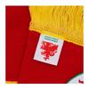 FA Wales Retro Bar Scarf