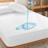 Waterproof Bed Sheet Mattress Cover Pad Solid Color Fitted Sheet with All-Around Elastic Rubber Band Bed Sheet No Pillowcases