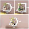 PVC board Wall shelving rotundity/square/hexagon Wall display Wall decoration shelf  bedroom