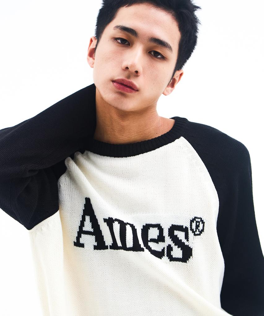 AMES-WORLDWIDE Basic Raglan Pullover Knit Ivory