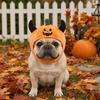 Fashionable Pumpkin Pets Hat Plush Ox Horn Cat Cap Creative Halloween Dog Hat  Pet Accessories
