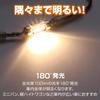 CARMATE Car LED Room Lamp GIGA Bright Light Bulb Color T8 x 29 T10