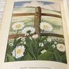 [USED] Rare American Vintage Antique Wild Plant Encyclopedia