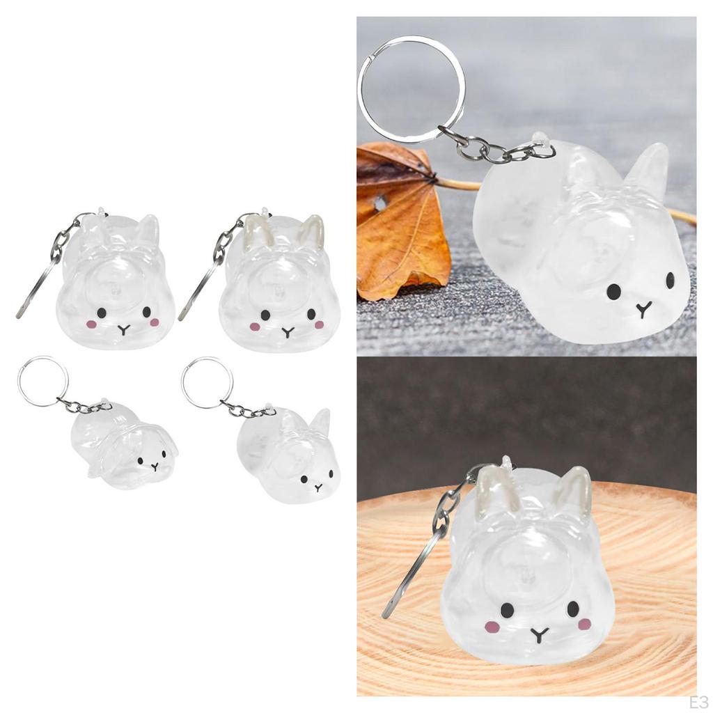 Collector Keyring for Pet Lovers Hair Holder Memorial Storage Box
