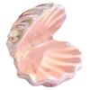 Delicate Ceramic Seashell Jewelry Tray Decorative Ring Holder Organizer For Bathroom Bedroom Dresser Home Decor