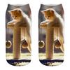 Women 3D Novelty Crazy Funny Cat  Socks Cute Colorful Cartoon Low Cut Socks