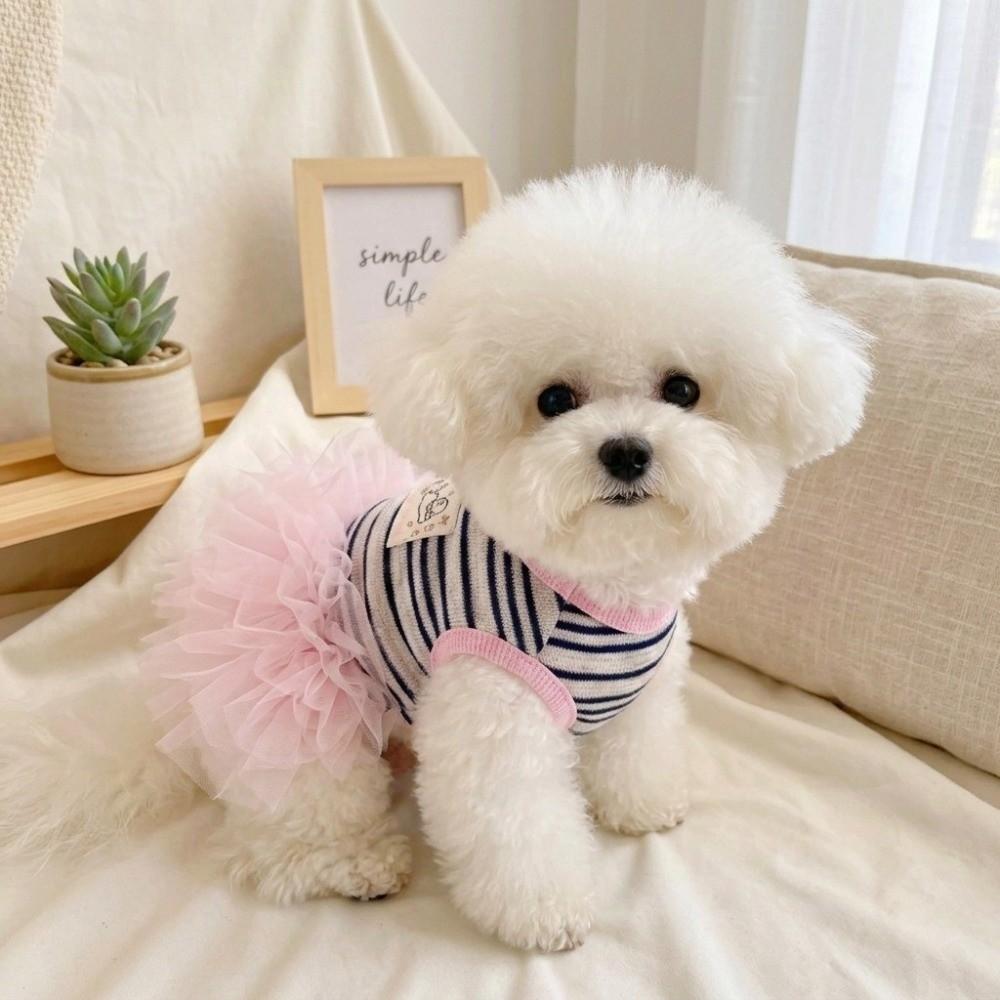 Breathable Summer Dog Vest D-Ring Harness Puppy Clothing New Dog Tulle Dress Photoshoot Use