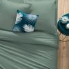 Drap housse coton uni 160 x 200 cm Couleur moderne celadon