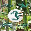 1/5/10/20Pcs Plant Fixed Clips Reusable Garden Bracket for Fixed Plants Vine Flower Seedling Tomatoes Support Garden Supplies Garden Tools