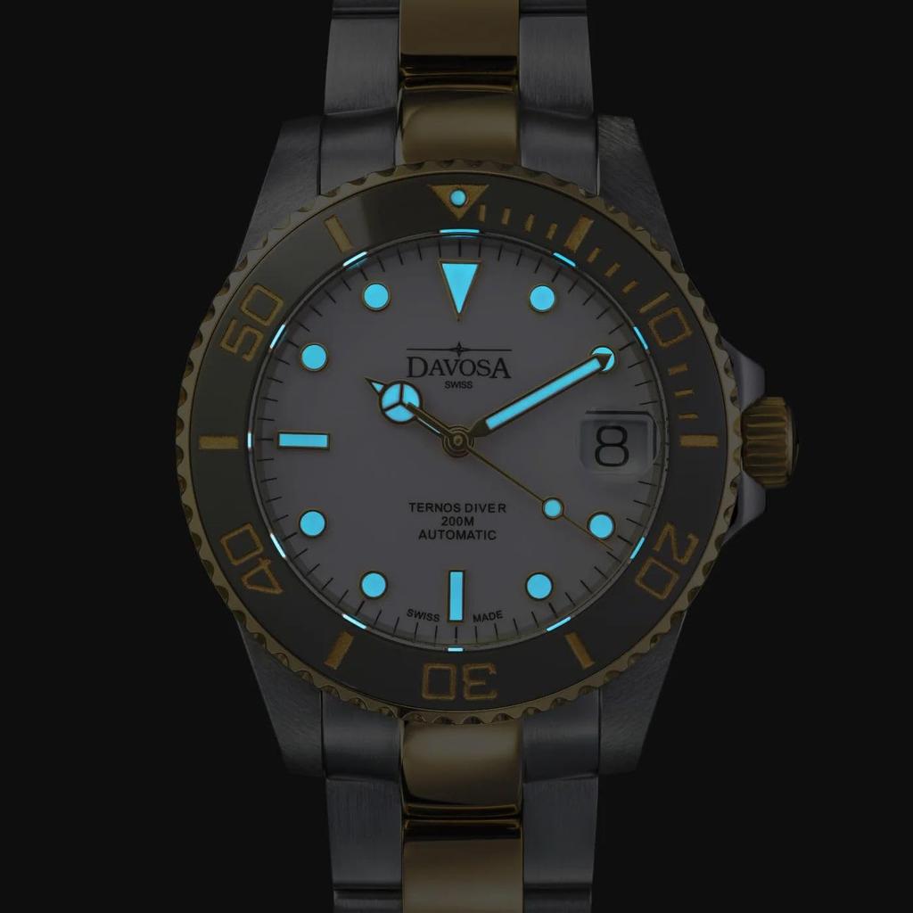 Davosa Ternos Medium Automatic Date 200M Water Swiss Watch, Display, Resistance, Made, Silver, 166.197.20