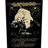 Carcass Symphonies Of Sickness Patch