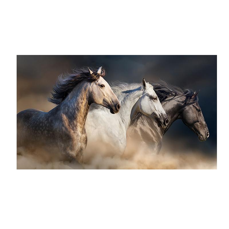 Три бегущие лошади Картина на холсте Искусство животных Постеры и принты Современная живопись Настенные картины для гостиной Домашний декор