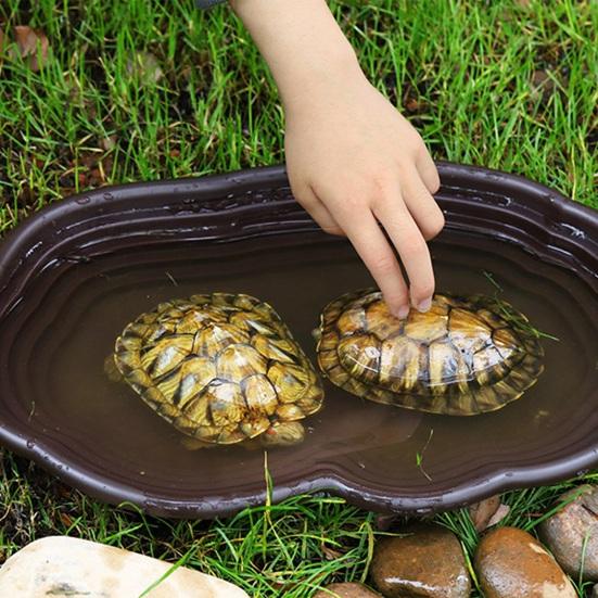 Кормушка для рептилий Поддон для купания рептилий Бассейн Миска для воды для черепах Миска для кормления из смолы для полуводных черепах Бородатая агама Ящерица Лягушка
