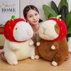 Chubby Turned Into a Guinea Pig Doll Plush Toy Guinea Pig Doll Children's Soothing Rag Doll Birthday Gift