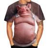 Cute Men and Women Guitar and Pork 3D Printed T-shirt, Imitating Animal Fun Summer Clothing, Round Neck, Short Sleeves, Casual