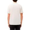 Lacoste Мужские поло 70V/Кремовый Воротник-поло Умеренный Другое PH7801-70V