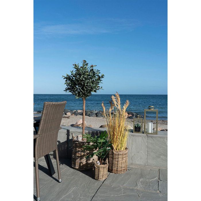 Sema Lot de paniers avec 3 pièces teinte naturelle.