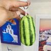 Милый плюшевый брелок Арбузная полоска Семейный мем Мягкая игрушка Тикток Горячая распродажа