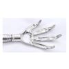 Pdtoweb Stainless Steel Eagle Claw Back Scratcher Extendable Massage Telescopic