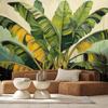 Wallpaper Banana leaves Nature