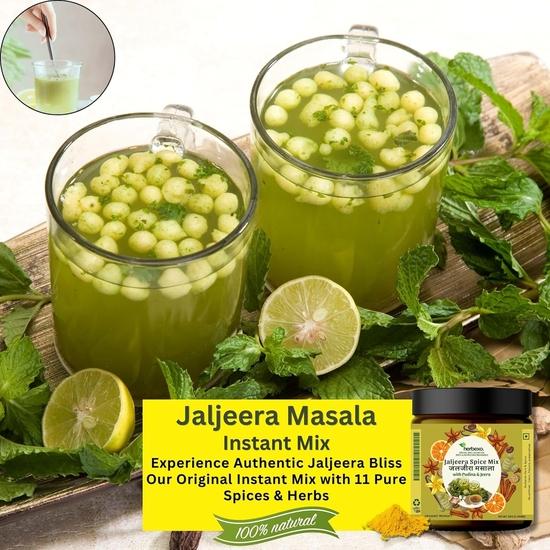 Herbexo Jaljeera Masala Powder I Authentic Jaljeera Taste with Jeera & Pudina