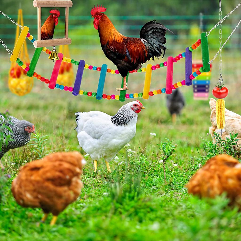 6Pcs Chicken Toys for Coop Accessories Xylophone Toy Chicken Mirror Ladder Bridge Coop Swing Vegetable Hanging Chicken Feeder