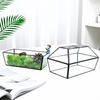 Geometric Glass Greenhouse: Preserved Flower & Moss Succulent Display for Home & Restaurant Decor