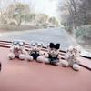 Cute Cartoon Bear Car Dashboard Decoration Plush Figurine Interior Ornament