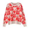 Print Knitted Womens Oversized Sweaters Autumn Winter Harajuku Fashion Jumper  C-205