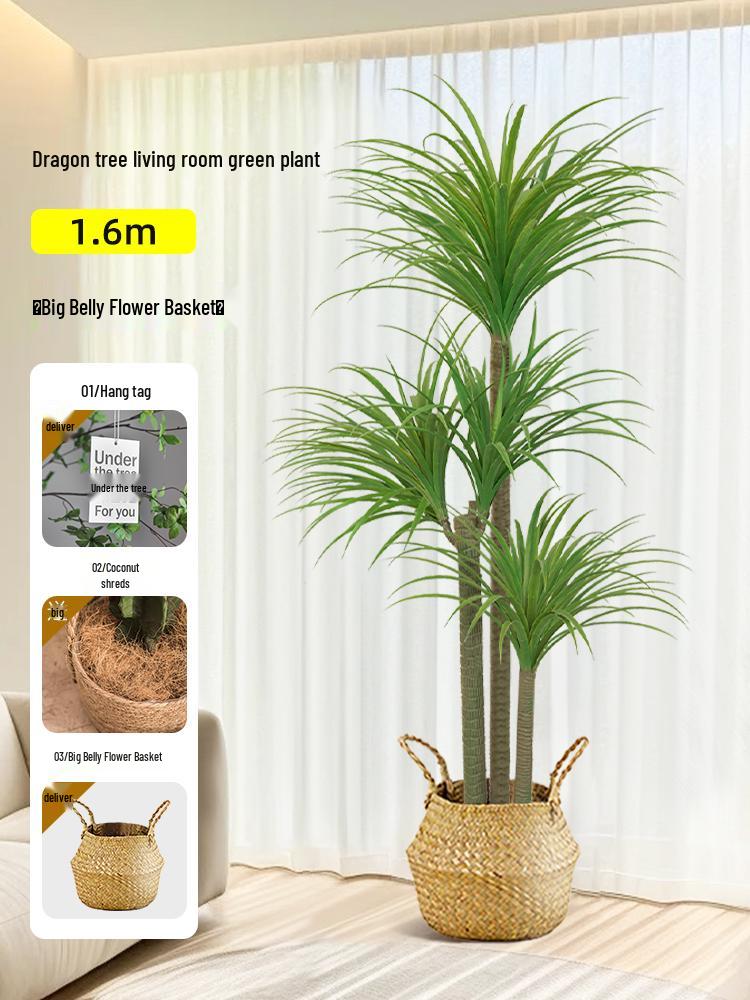 Dragon Blood Tree - Large Indoor Faux Plant for Living Room Decor
