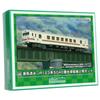 Greenmax N Gauge JR 123 Series 5040 Minobu Line 2-Car Set, Pre-Colored Economy Kit, 19505, Model Train
