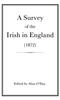 Книга A Survey of the Irish In England 1872