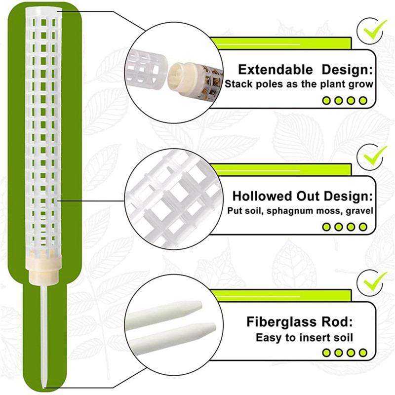 Подставка для комнатных растений Зеленый Укропная лоза Садовые аксессуары Опора для вьющихся растений Шпалера для растений Пластиковый Моховой столб