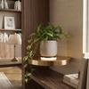 Invisible Bracket Floating Wall Shelf Wall Mounted Wall Mount Shelf Storage Shelf  Display Storage