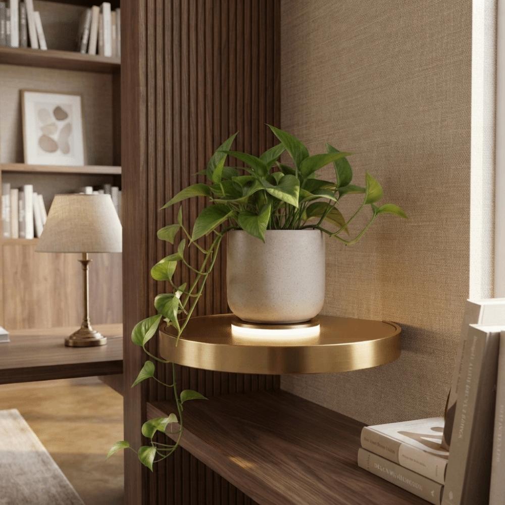 Invisible Bracket Floating Wall Shelf Wall Mounted Wall Mount Shelf Storage Shelf Display Storage