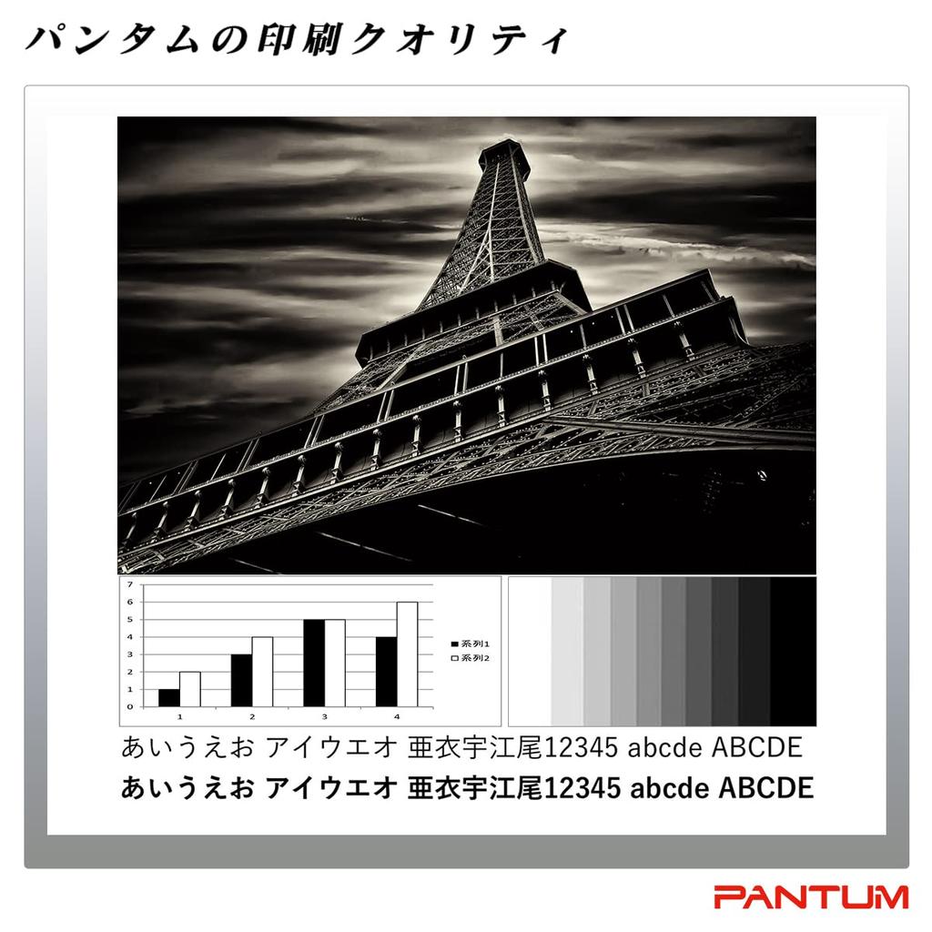 PANTUM Laser Printer A4 Monochrome P2500