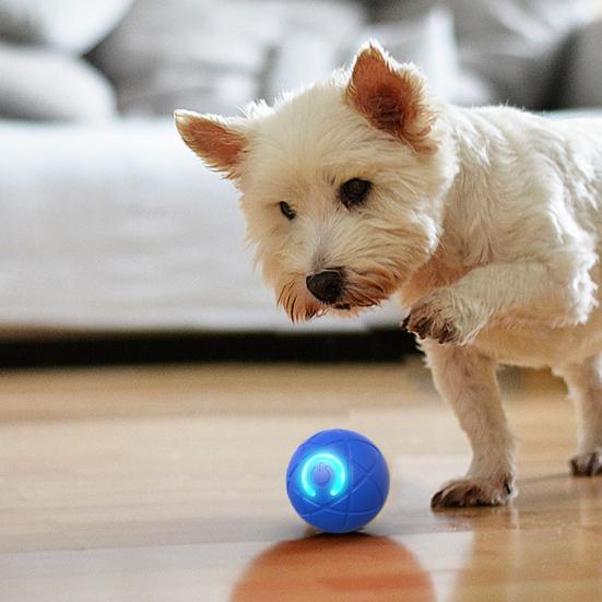 Мяч для прыжков со светодиодной подсветкой для домашних животных, снятие скуки и стресса, умная интерактивная игрушка для кошек и собак, перезаряжаемая через USB, электрическая, автоматическая, движущаяся, встряхивающая