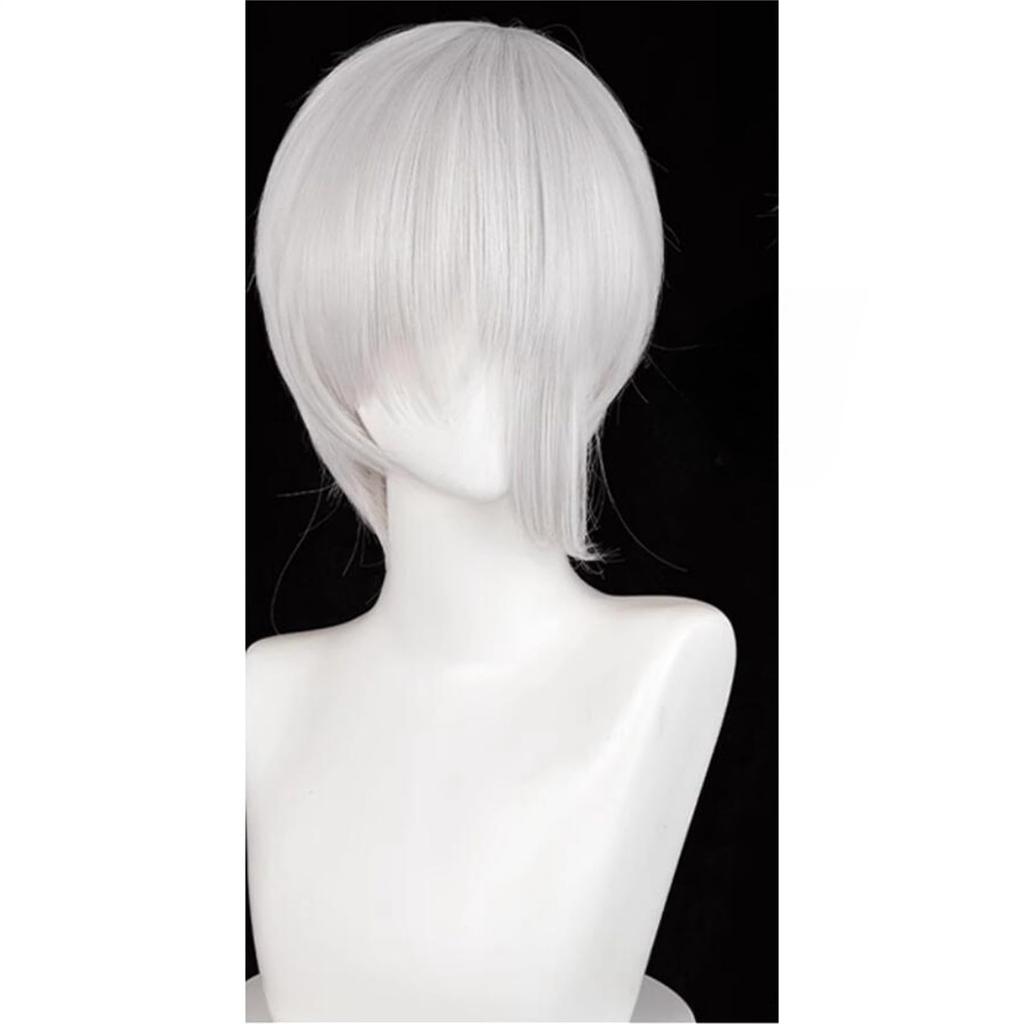 Laubao Shopping Антарктицит Косплей Серый Костюм Хэллоуин Косплей Парик Парик, Боб, Волосы, Термостойкий, Аксессуар, Костюм, (Антарктицит)